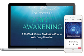 Practice of Direct Awakening - Meditation 2.0